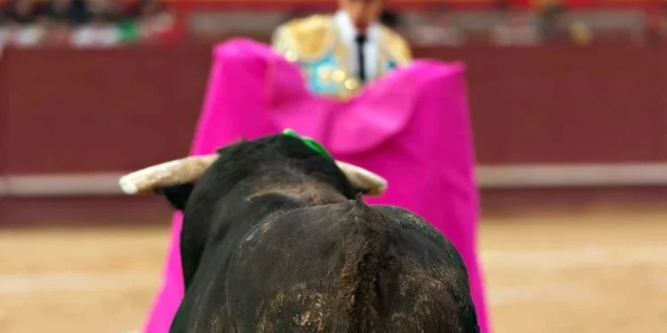 El Congreso CDMX da luz verde a las corridas de toros sin violencia