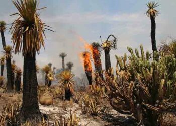 VIDEO | PC alerta sobre el aumento de incendios, que se han duplicado