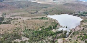 Ayuntamiento llevará a cabo una reforestación en la Cañada del Lobo
