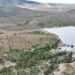 Ayuntamiento llevará a cabo una reforestación en la Cañada del Lobo