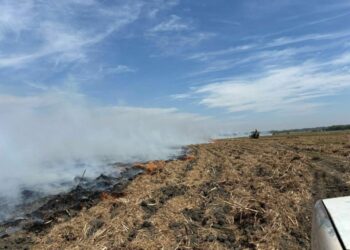 VIDEO | Fuertes vientos provocan incendios en Huasteca y Rioverde