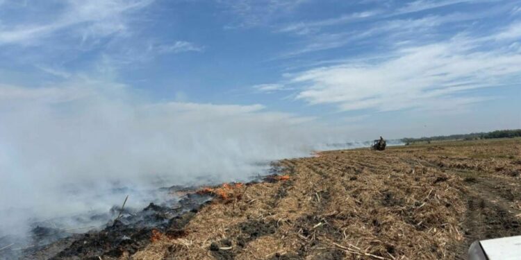 VIDEO | Fuertes vientos provocan incendios en Huasteca y Rioverde