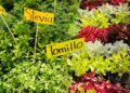 Llega la feria de las flores