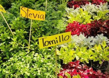 Llega la feria de las flores