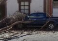Video | Cae árbol sobre vehículo en Mariano Arista por fuertes vientos