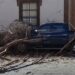 Video | Cae árbol sobre vehículo en Mariano Arista por fuertes vientos