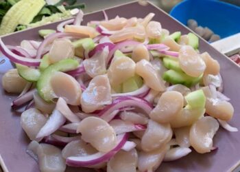 Qué es el callo de hacha: conoce más de este ingrediente marino
