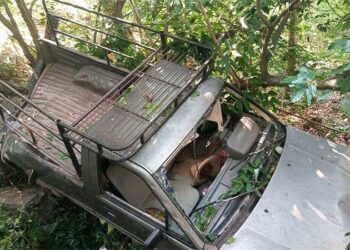 Mujer que sufrió graves heridas en accidente fallece