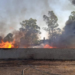 FGE espera dictamen de Bomberos sobre incendios en almacén de tarimas en carretera a Matehuala