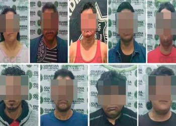Detenidos nueve individuos por violencia familiar