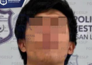 Capturan a individuo por robo domiciliario en la colonia Los Salazares