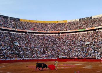 El Congreso de CDMX aprueba la prohibición de corridas de toros con violencia