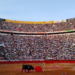 El Congreso de CDMX aprueba la prohibición de corridas de toros con violencia