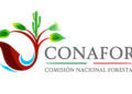 Conafor enfrenta protesta de trabajadores por carencia de equipamiento