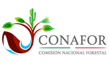 Conafor enfrenta protesta de trabajadores por carencia de equipamiento