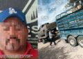 Transportaba ganado ilegalmente: sujeto arrestado en el acto