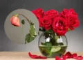 Tips para que las rosas no se marchiten rápido y duren más en el florero