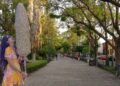 La Feria Municipal del Elote en San Luis Potosí celebra un gran éxito