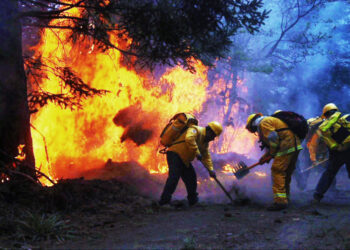 VIDEO | 90% de los incendios activos son provocados