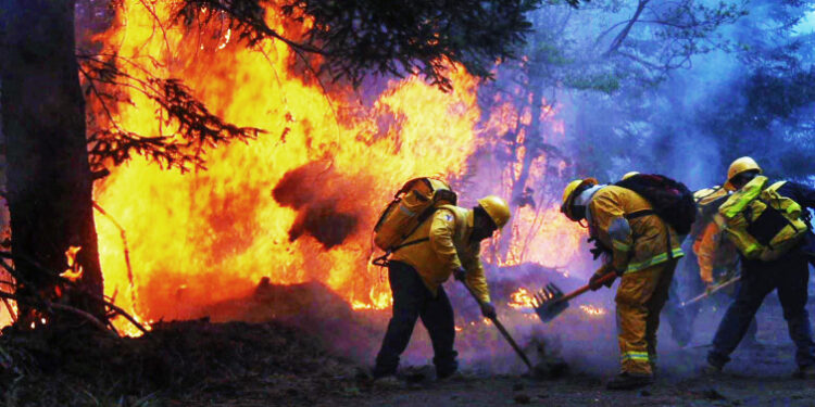 VIDEO | 90% de los incendios activos son provocados