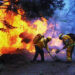 VIDEO | 90% de los incendios activos son provocados
