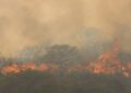 VIDEO | Incendios en la Huasteca ponen en riesgo las ferias y eventos