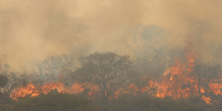 VIDEO | Incendios en la Huasteca ponen en riesgo las ferias y eventos