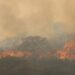 VIDEO | Incendios en la Huasteca ponen en riesgo las ferias y eventos