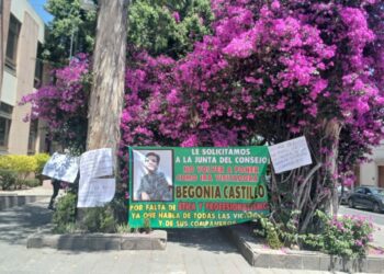 VIDEO | Víctimas demandan ajustes en la plantilla de visitadores de la CEDH