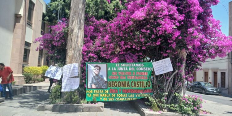 VIDEO | Víctimas demandan ajustes en la plantilla de visitadores de la CEDH