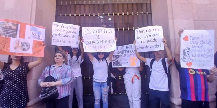 Marchan en SLP para exigir justicia por Hope y penas por maltrato animal