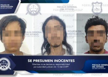 Detienen a tres por golpear y calcinar a perrita en la capital potosina