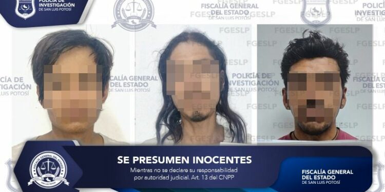 Detienen a tres por golpear y calcinar a perrita en la capital potosina