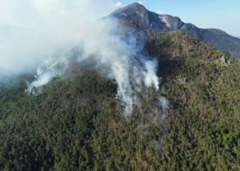 Llamado urgente a la población para no originar incendios
