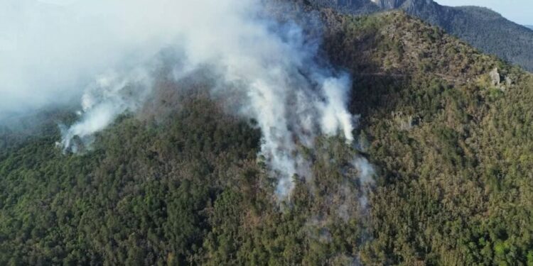 Llamado urgente a la población para no originar incendios