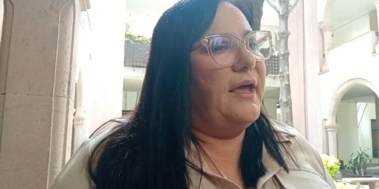 VIDEO | Legisladora solicita que el desarrollo de SLP continúe sin afectar el entorno natural