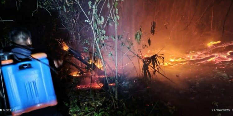 Solicitan participación de la comunidad de Tampamolón en el control de incendios