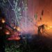 Solicitan participación de la comunidad de Tampamolón en el control de incendios