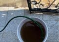 INTERAPAS recomienda que el agua de “El Realito” se destine solo a tareas no esenciales