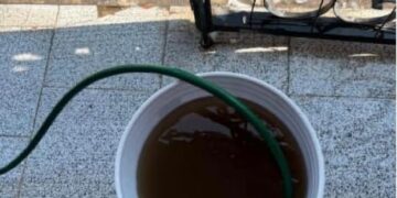 INTERAPAS recomienda que el agua de “El Realito” se destine solo a tareas no esenciales