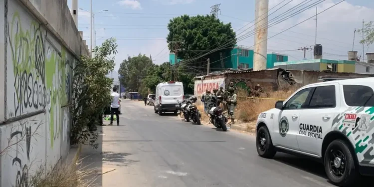 Localizan dos cadáveres en baldío de Circuito Potosí y Arbolitos