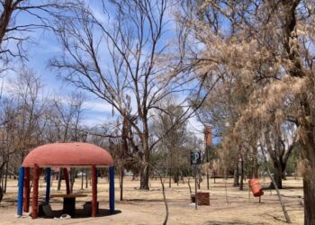 VIDEO | En Parque Morales solo se han retirado árboles que representaban un riesgo