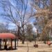 VIDEO | En Parque Morales solo se han retirado árboles que representaban un riesgo