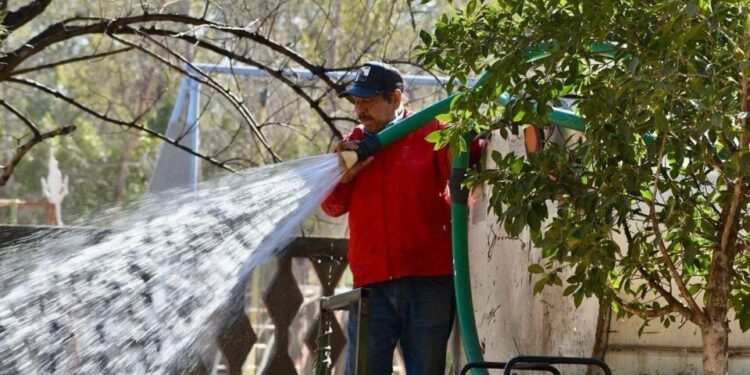 El Ayuntamiento asegura riego continuo en el Parque de Morales para favorecer su recuperación