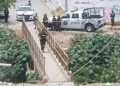 Hallan a mujer sin vida debajo del puente en Río Españita