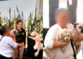 Guardia Civil rescata a dos perritos extraviados y los reúne con sus dueños