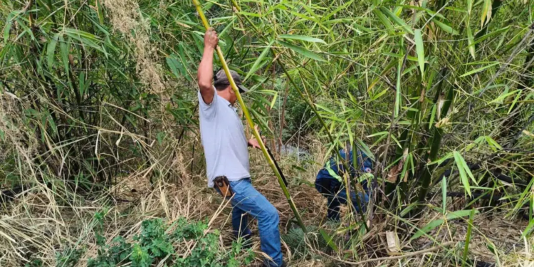 Dos accidentes casi simultáneos en la curva del Taninul
