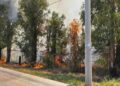 Sofocan incendio en predio de carretera a Zacatecas