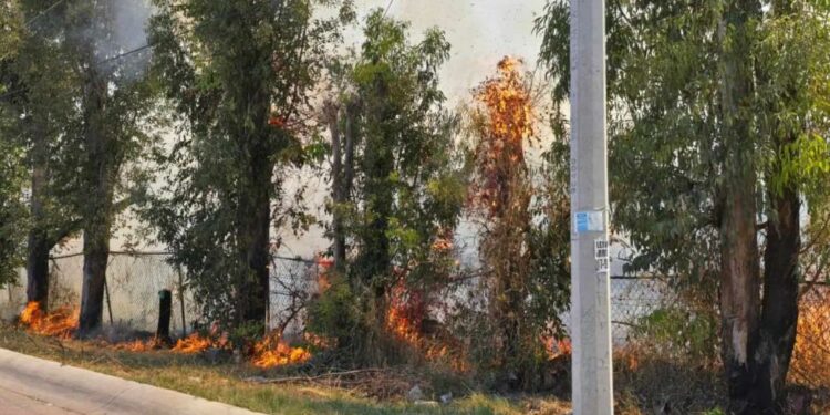Sofocan incendio en predio de carretera a Zacatecas