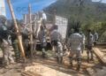 En Rioverde, aseguran madera de pino y hoja de laurel en un área protegida